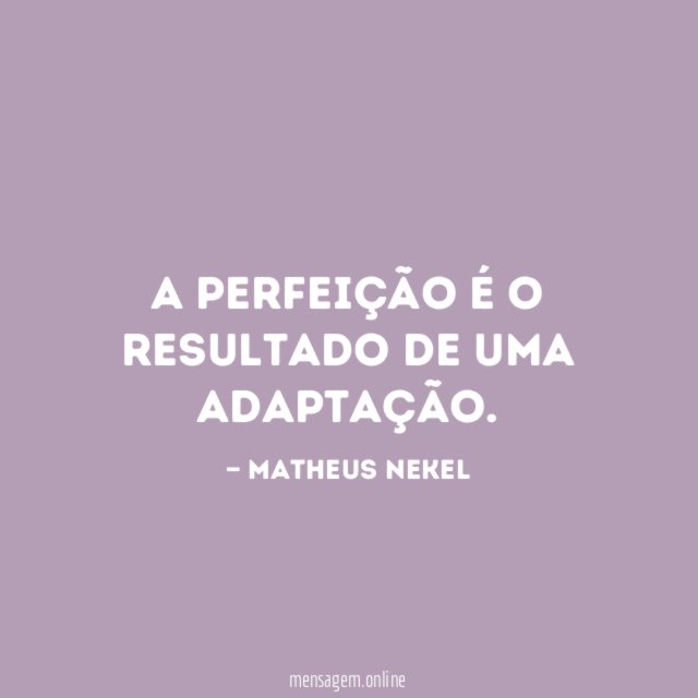 A perfeição é o resultado de uma adaptação