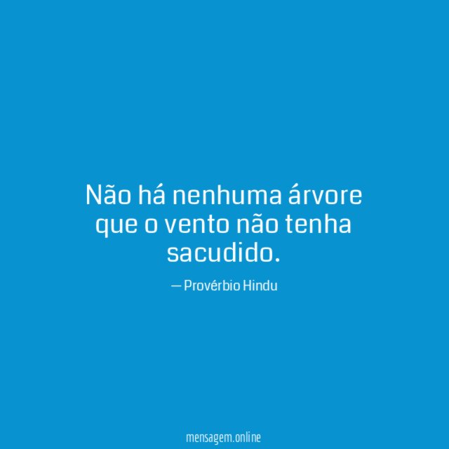 Não há nenhuma árvore que o vento não tenha sacudido