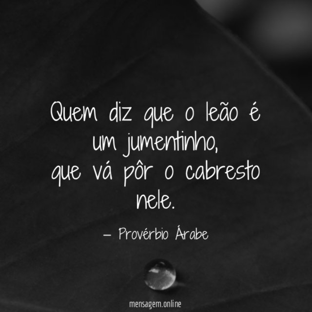 Quem diz que o leão é um jumentinho