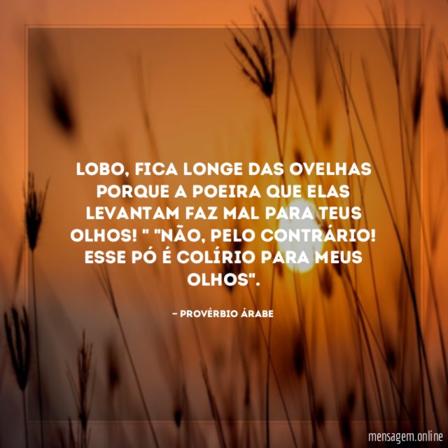 Lobo