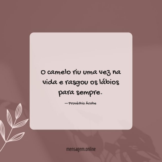 O camelo riu uma vez na vida e rasgou