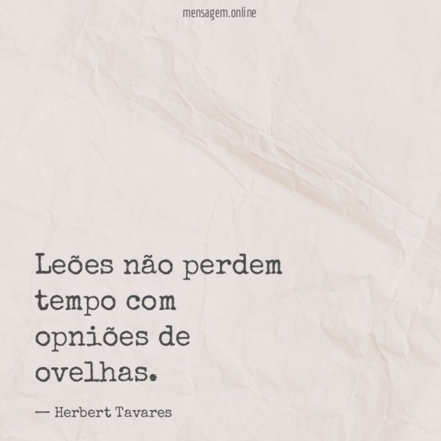 Leões não perdem tempo com opniões de ovelhas