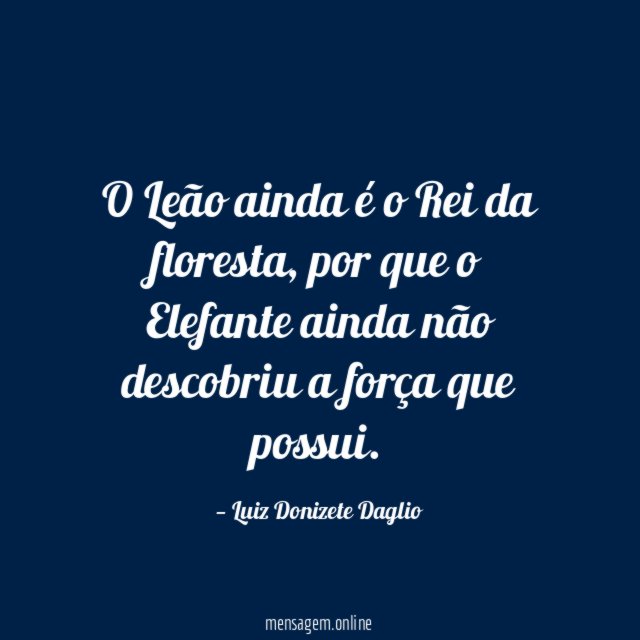 O Leão ainda é o Rei da floresta