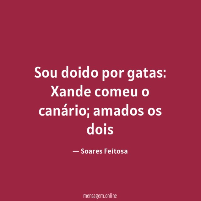 Sou doido por gatas