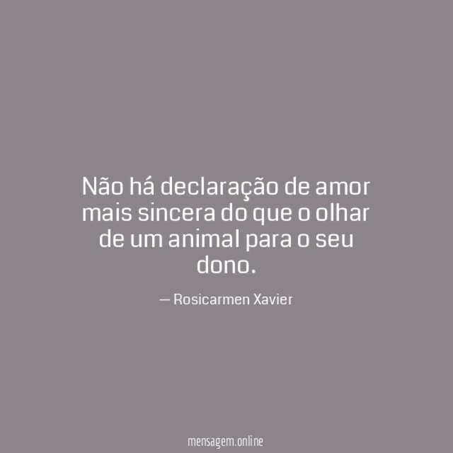 Não há declaração de amor mais sincera do