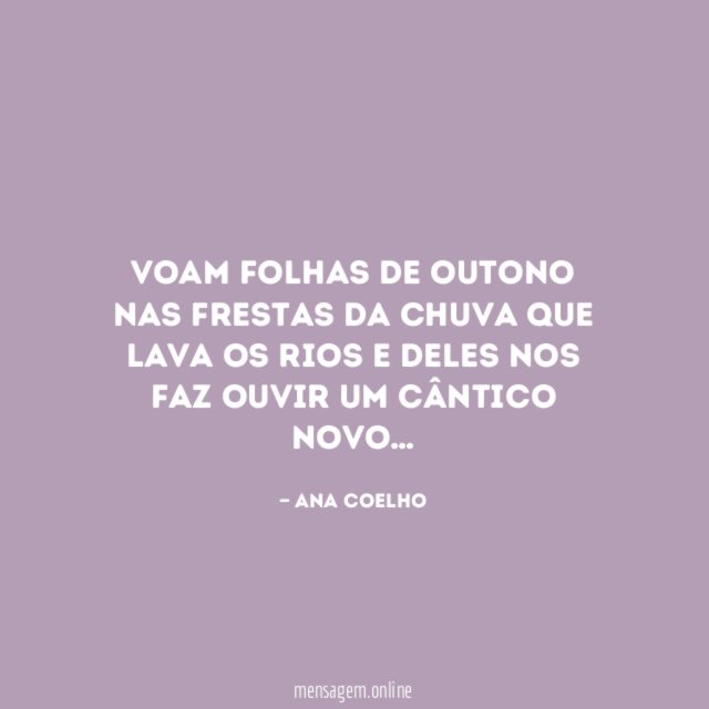 Voam folhas de Outono nas frestas da chuva