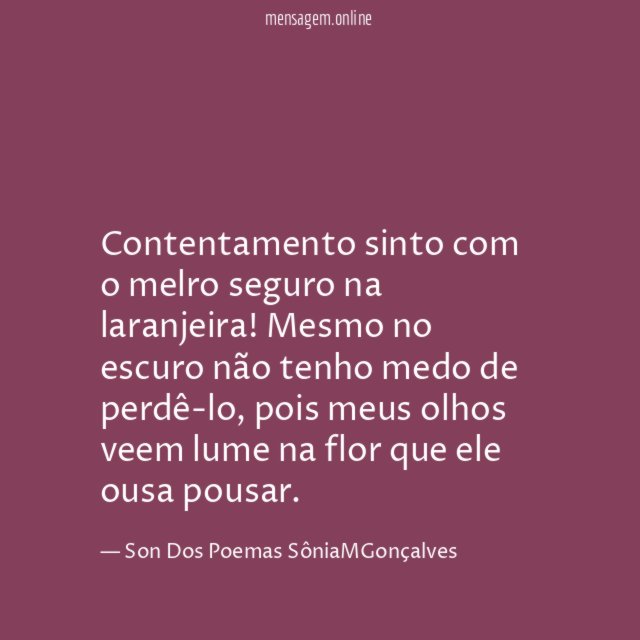 Contentamento sinto com o melro seguro na laranjeira