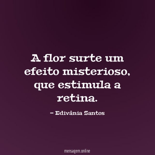 A flor surte um efeito misterioso