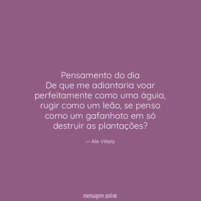 Pensamento do dia