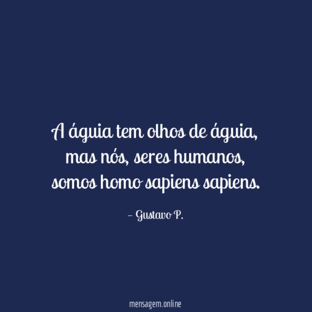 A águia tem olhos de águia