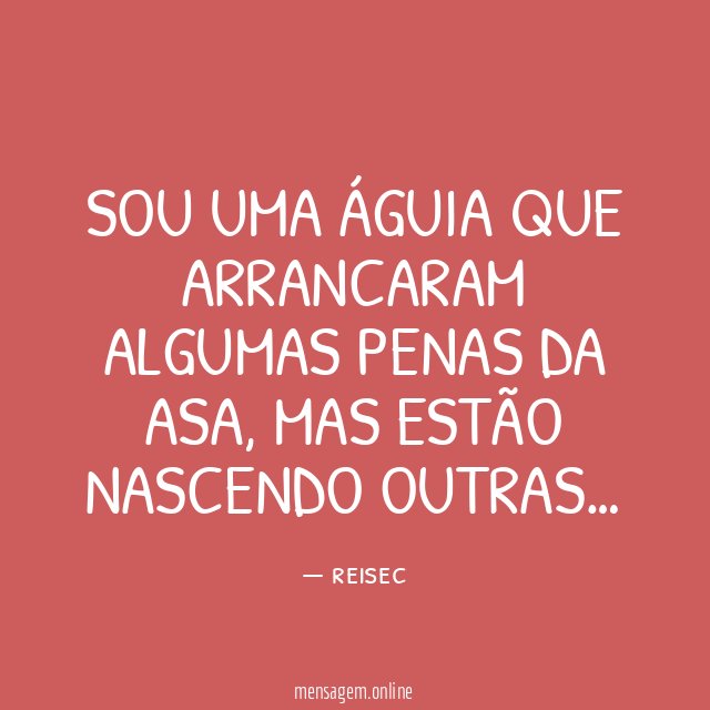 Sou uma águia que arrancaram algumas penas da asa
