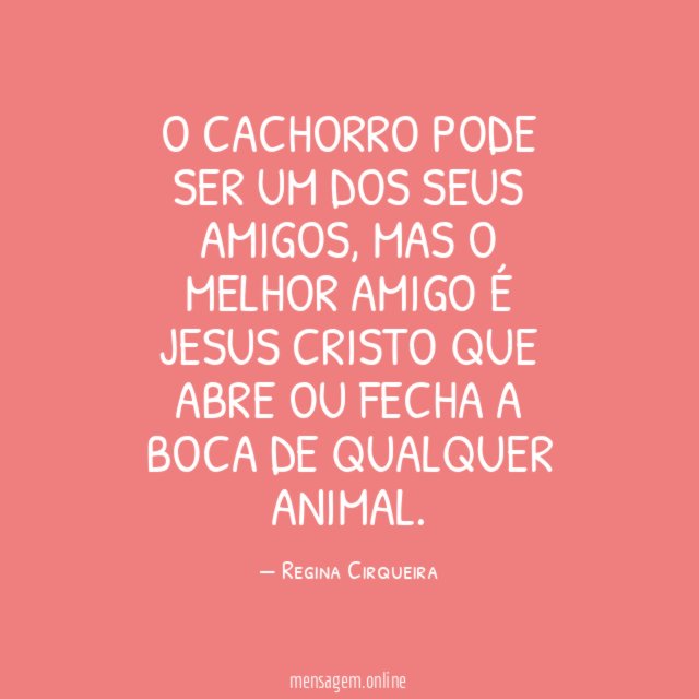 O CACHORRO PODE SER UM DOS SEUS AMIGOS