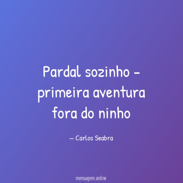 pardal sozinho - primeira aventura fora do ninho