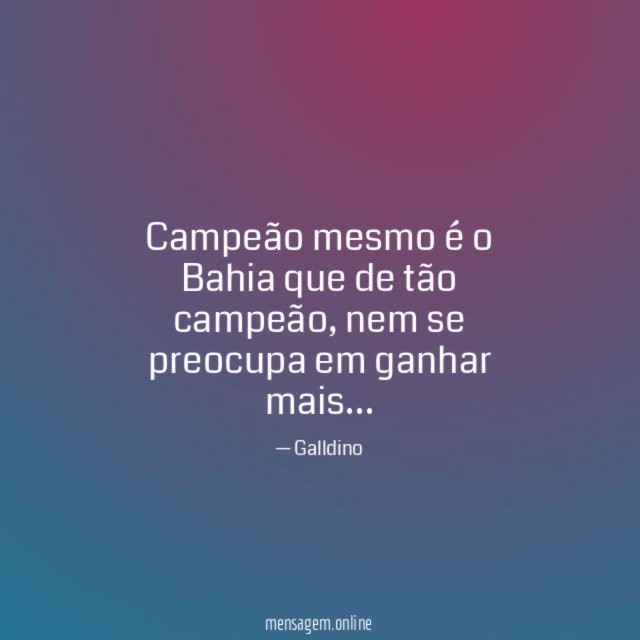 Campeão mesmo é o Bahia que de tão campeão