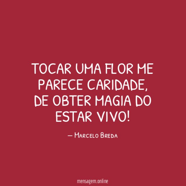Tocar uma flor me parece caridade
