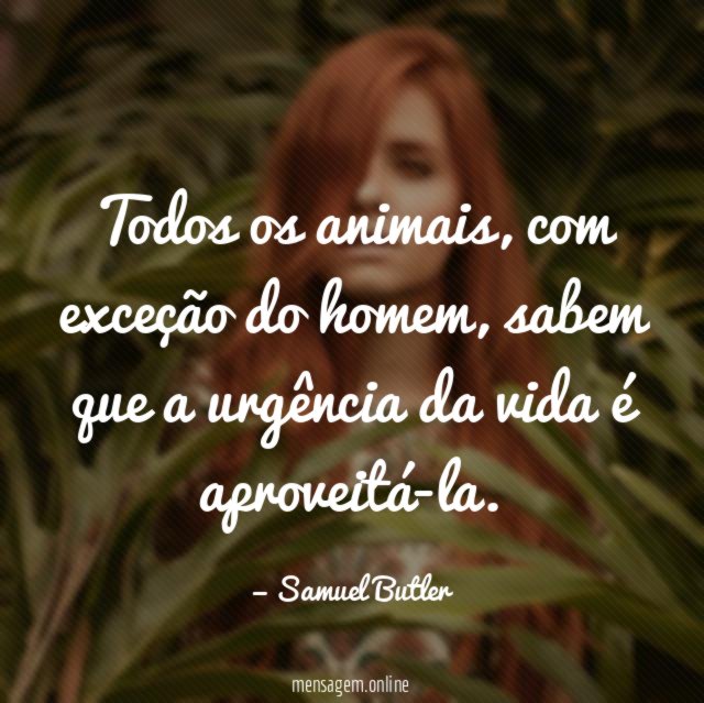 Todos os animais