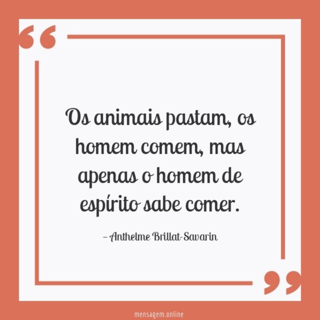Os animais pastam