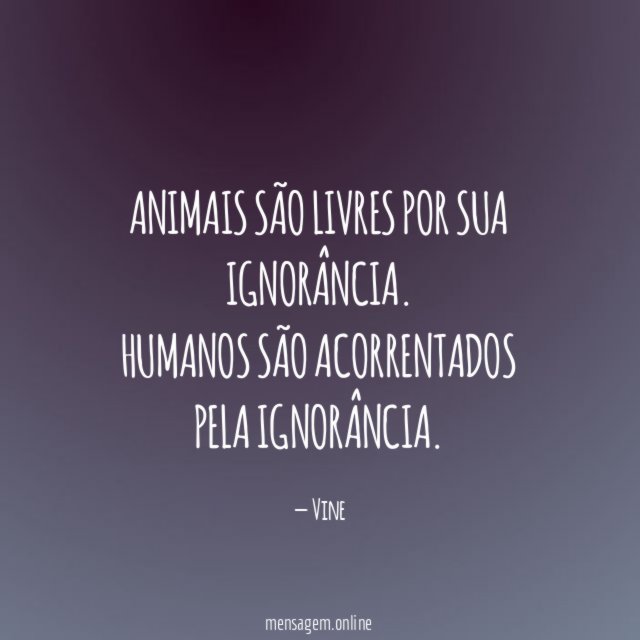 Animais são livres por sua ignorância