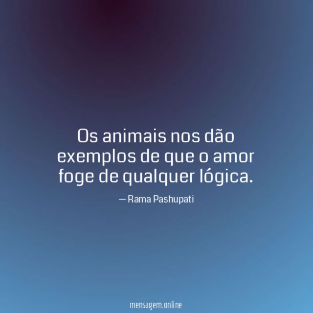 Os animais nos dão exemplos de que o amor