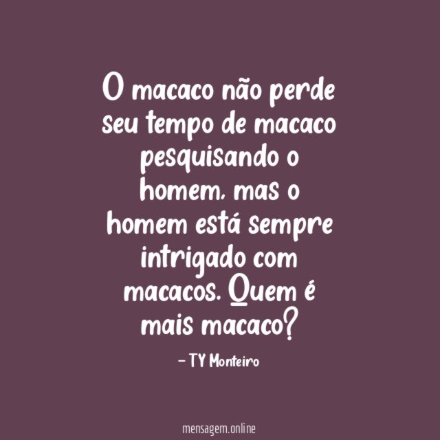 O macaco não perde seu tempo de macaco pesquisando o homem