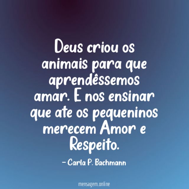 Deus criou os animais para que aprendêssemos amar