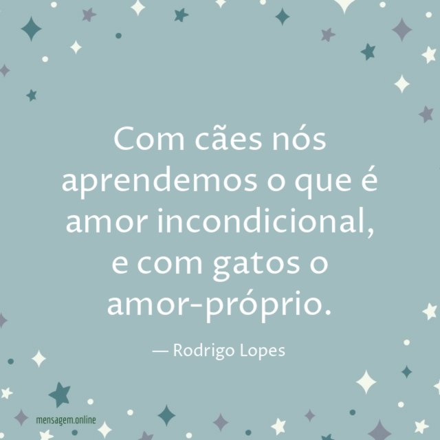 Com cães nós aprendemos o que é amor incondicional