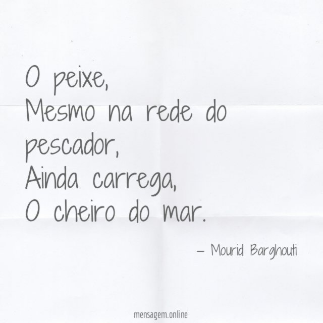 O peixe