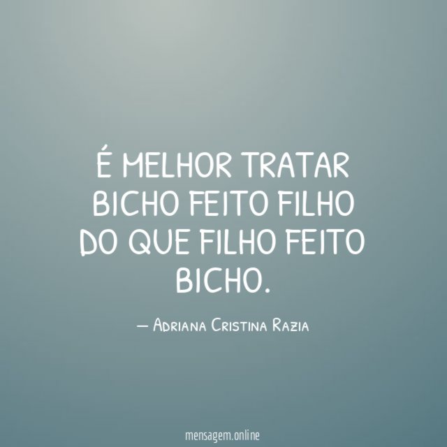 É melhor tratar bicho feito filho do que filho feito bicho