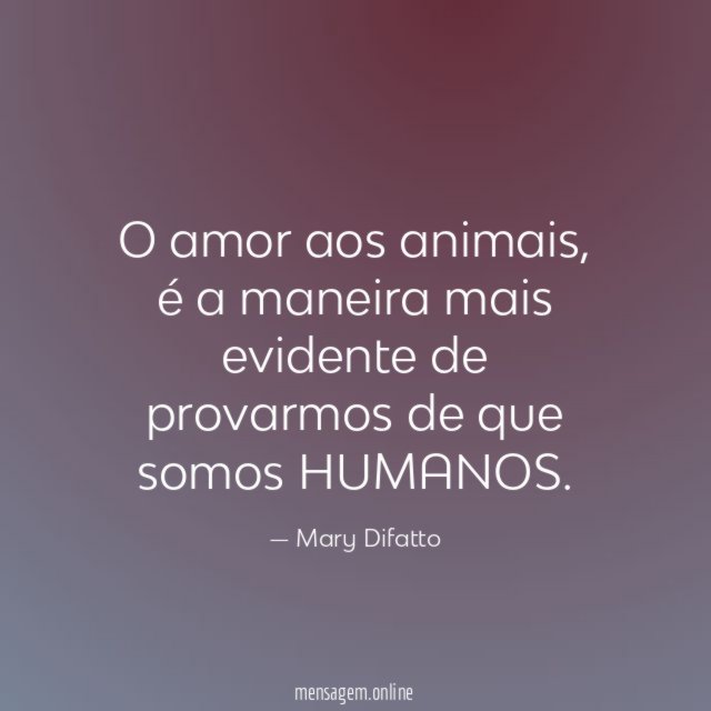 O amor aos animais