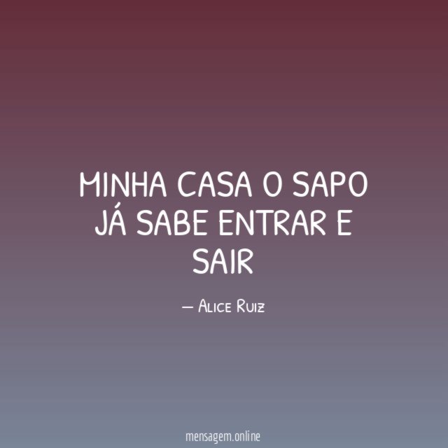 minha casa o sapo já sabe entrar e sair