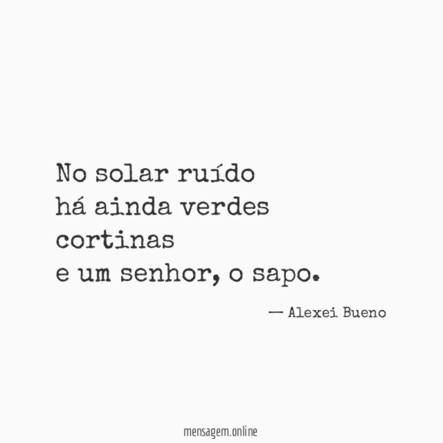 No solar ruído há ainda verdes cortinas e um senhor