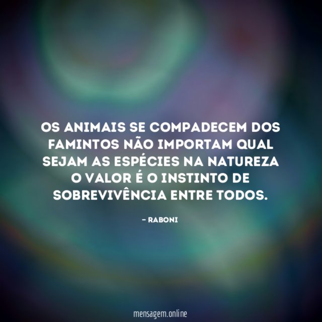Os animais se compadecem dos famintos não importam