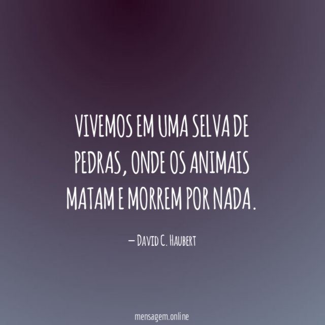 Vivemos em uma selva de pedras