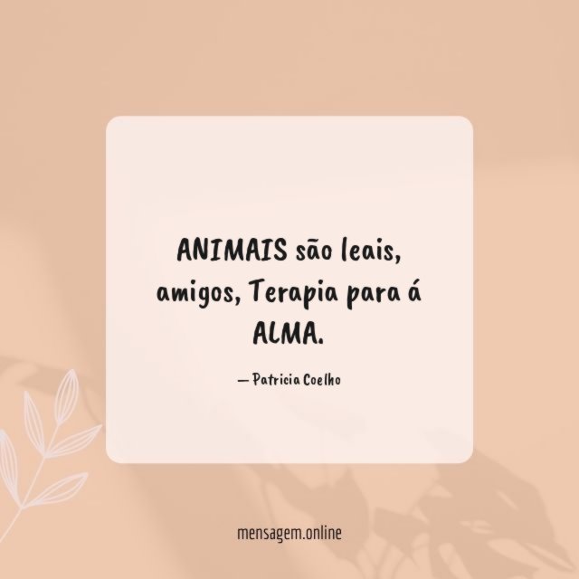 ANIMAIS são leais