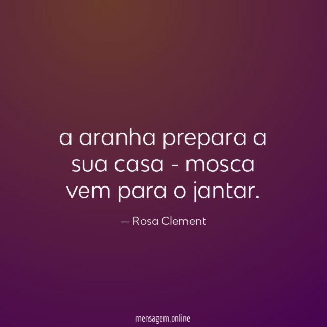 a aranha prepara a sua casa - mosca vem para o jantar