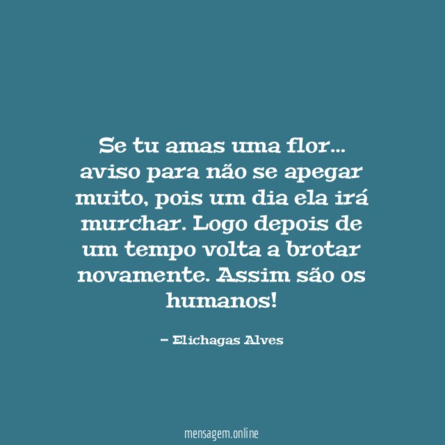 Se tu amas uma flor