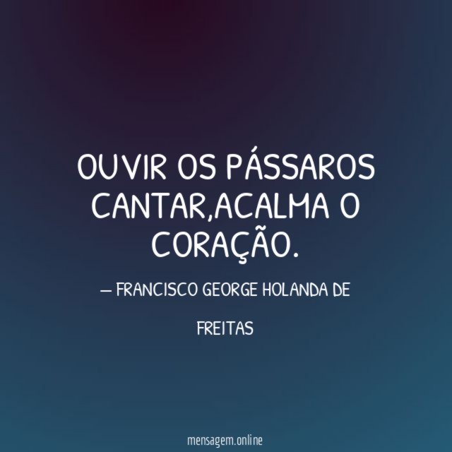 OUVIR OS PÁSSAROS CANTAR