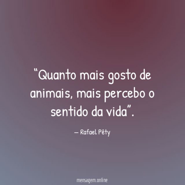 Quanto mais gosto de animais