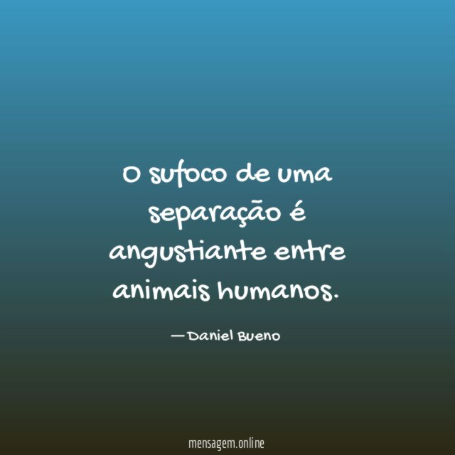 O sufoco de uma separação é angustiante entre animais humanos
