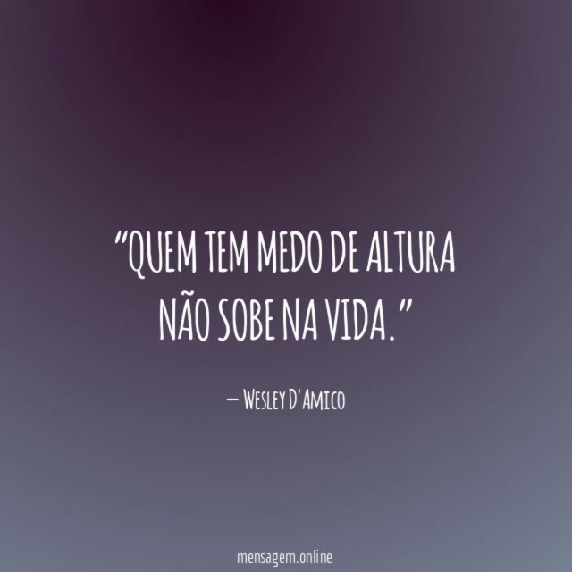 Quem tem medo de altura não sobe na vida