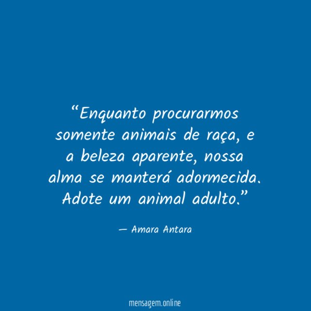 Enquanto procurarmos somente animais de raça