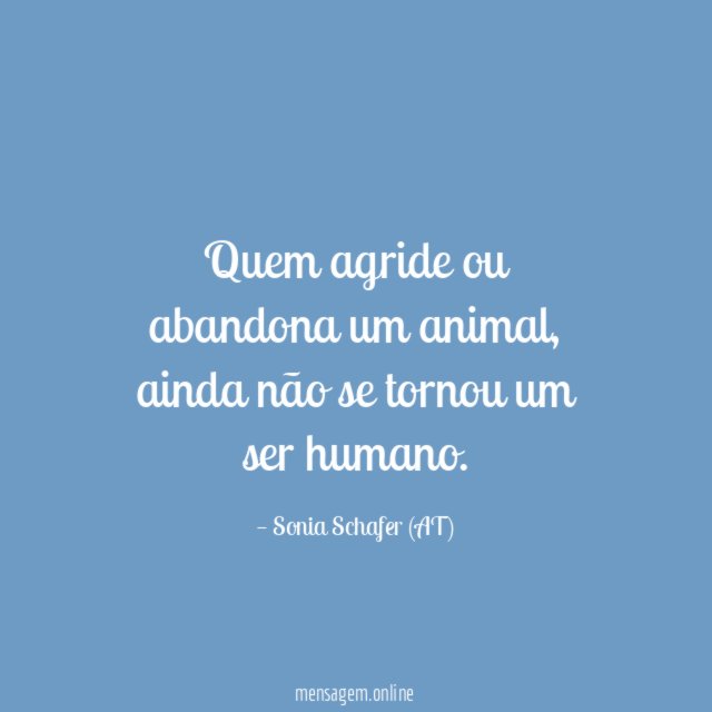 Quem agride ou abandona um animal