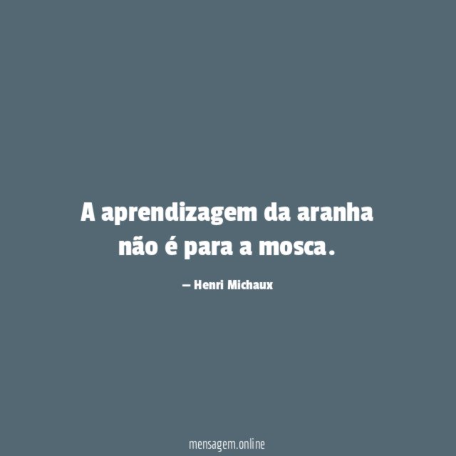 A aprendizagem da aranha não é para a mosca