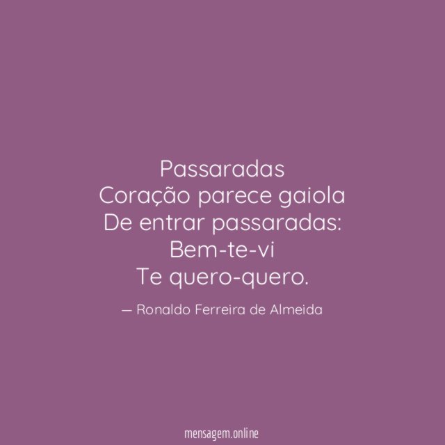 Passaradas