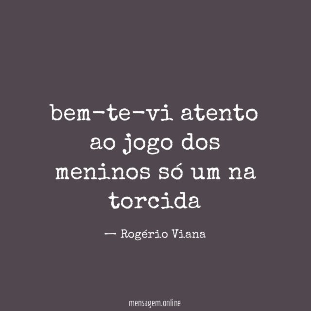 bem-te-vi atento ao jogo dos meninos só um na torcida