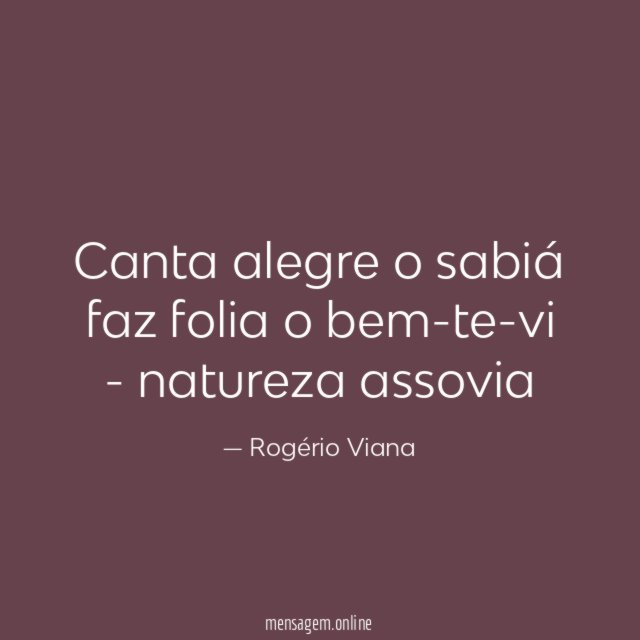 Canta alegre o sabiá faz folia o bem-te-vi - natureza assovia