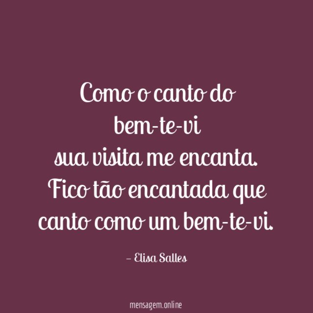Como o canto do bem-te-vi sua visita me encanta