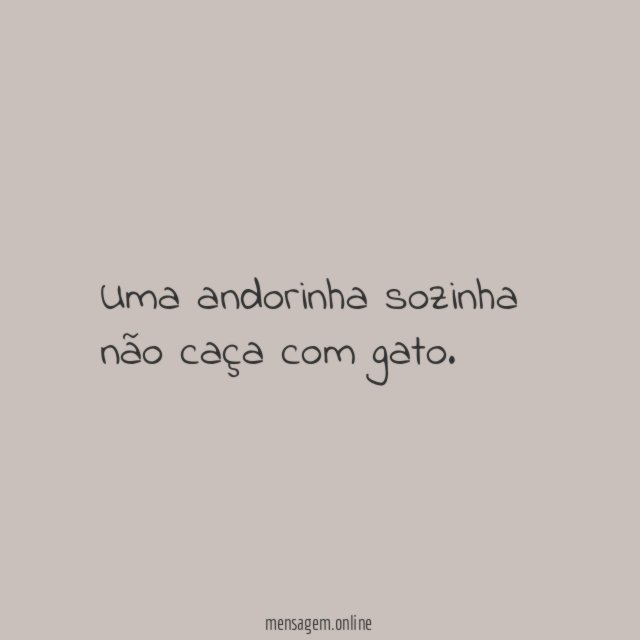 Uma andorinha sozinha não caça com gato