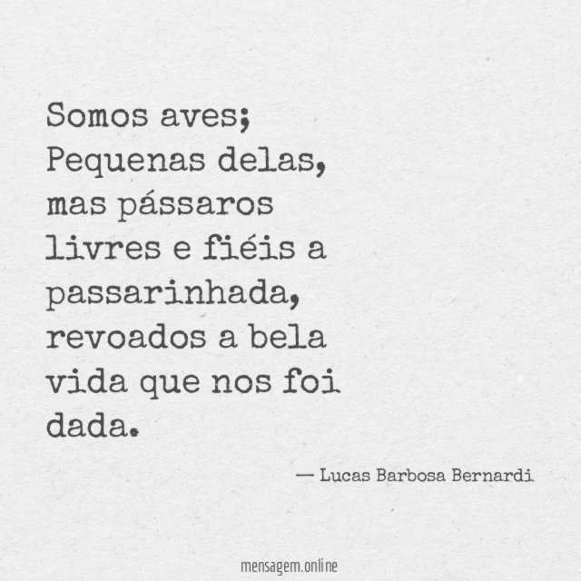 Somos aves