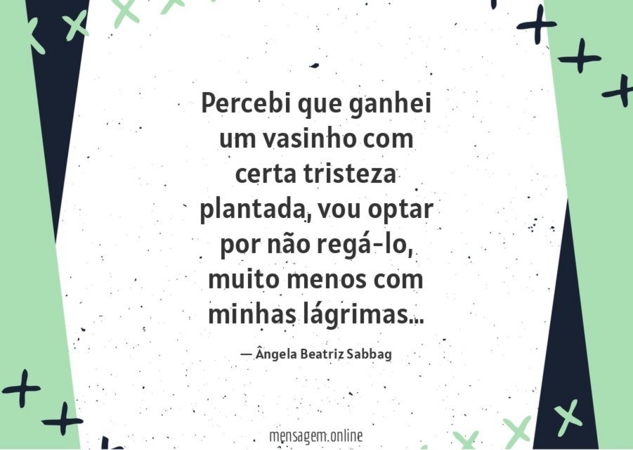 Percebi que ganhei um vasinho com certa tristeza plantada
